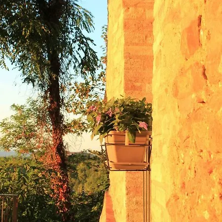 Bed & Breakfast La Basiglia